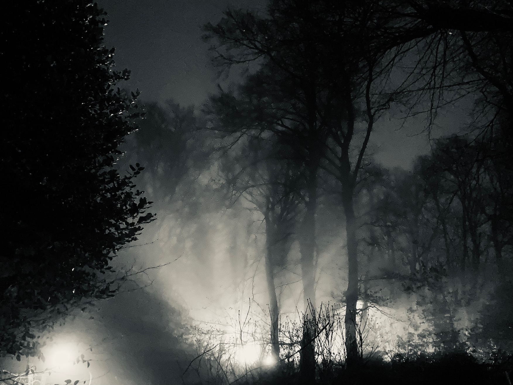 Zen.nl, Zen, meditatie, leren mediteren, foto